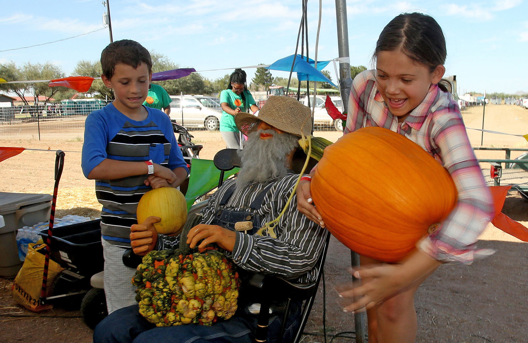 Marana Pumpkin Patch and Farm Festival